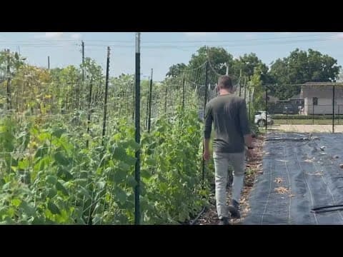 Farm bringing fresh food and community spirit to Houston's EADO