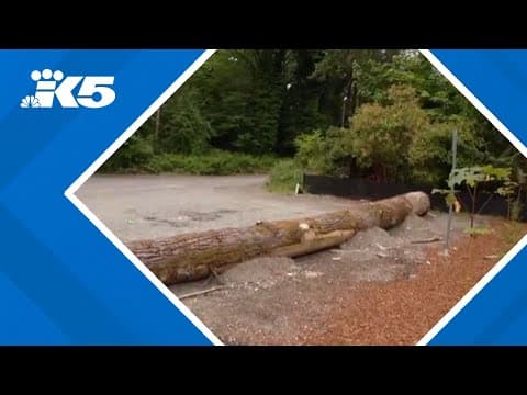 Rideshare driver beaten by family members who found him raping woman, deputies say