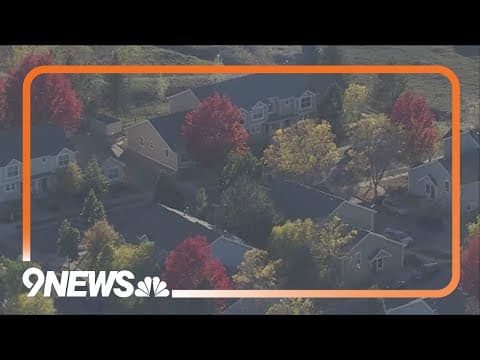 Woman shot while confronting 2 men breaking into her car