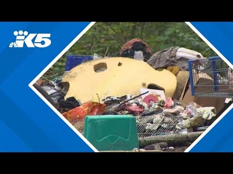 Bellingham takes property owner to court over homeless camp