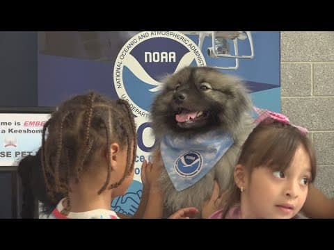 NOAA STEM Day at Brightwood Elementary School in DC | The Night Cap