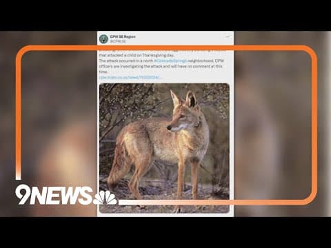 CPW looking for coyote that attacked 4-year-old girl
