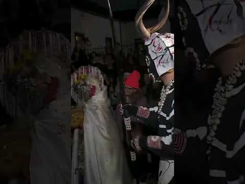 Mardi Gras 2024: Skull and Bone Gang #mardigras