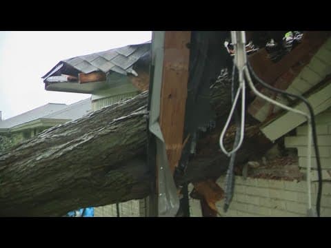 Friday's storms sent tree into home in Hitchcock