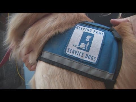 Helping Paws barbeque fundraiser held to raise funds, honor Hortmans