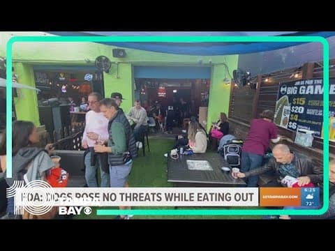 YouTube thumbnail for video QHW80WJTEmA