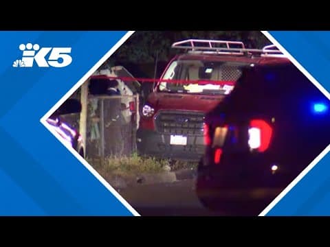 Deputies searching for suspect in fatal Skyway hit-and-run