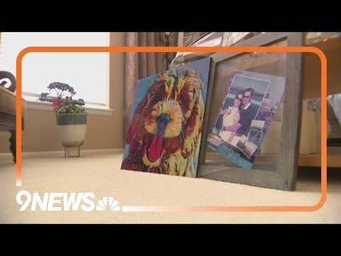 Driver pleads guilty in deadly hit-and-run crash