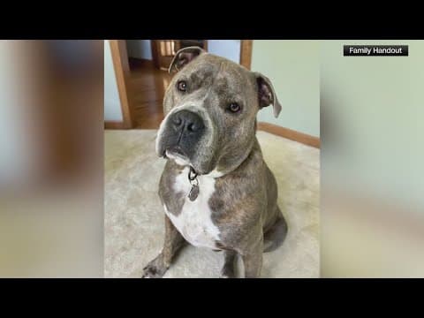 Dog leads officer to leash during house fire