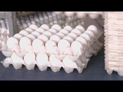 Egg prices are spiking again. Here's why