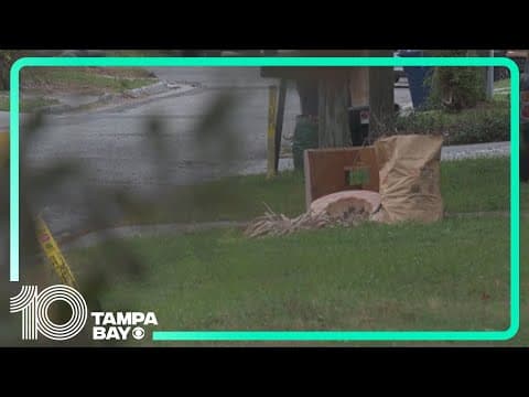 Tampa leaders discuss South Howard Avenue flood relief project