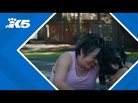 Kirkland woman shares life-changing impact of Canine Companions service dogs