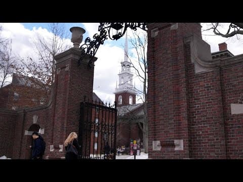 Harvard University renaming its DEI office