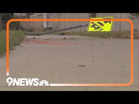 Man turns himself in after hit-and-run kills pedestrian, dog