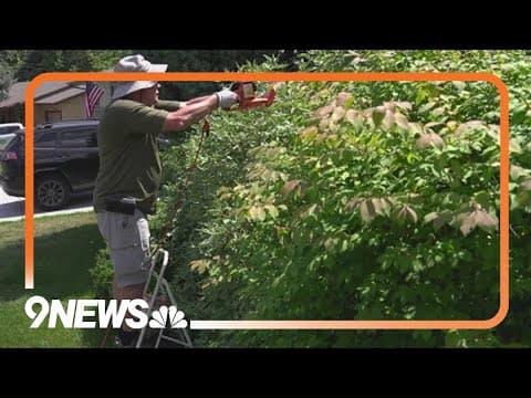 Friends honor classmate by volunteering