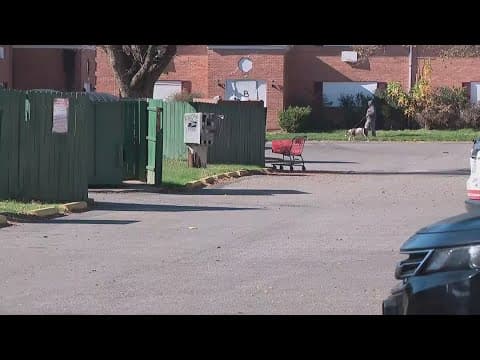 City council allots $3 million to local nonprofit for Colonial Village rehousing