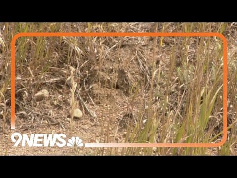 Wildfires on Colorado's western slope prompt fire restrictions in the Denver metro area