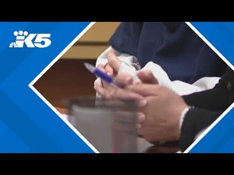 Parents of 13-year-old who allegedly planned school shooting ask for his release