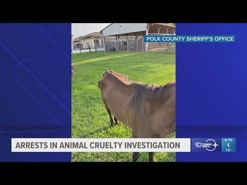 Deputies: Horses, other animals living in 'deplorable conditions' seized from Polk County property