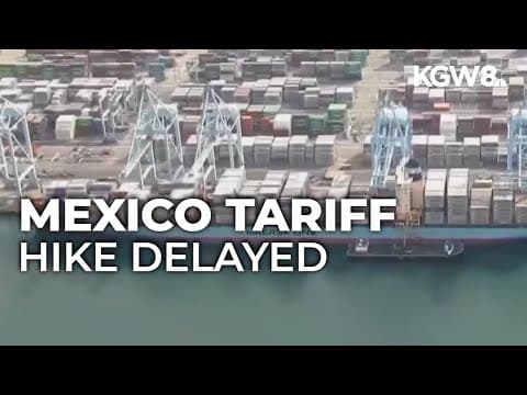 Trump delays Mexico tariff hike