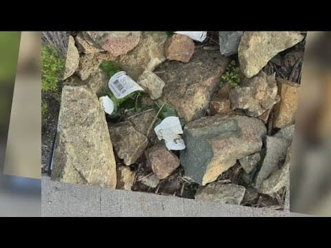 New curfew expected at Pasatiempo Park in Del Cerro