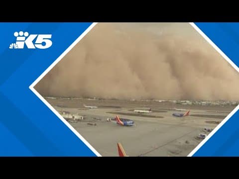 Dust storm overwhelms Phoenix airport, causing ground stop