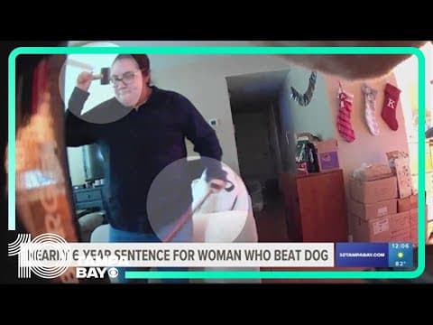 Nearly 6-year sentence for woman who beat dog in Hillsborough County