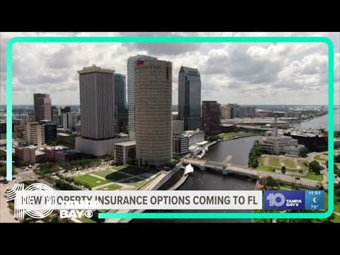 New property insurance options coming to Florida