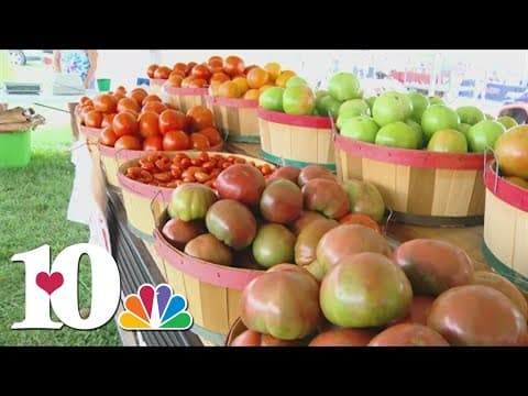 Easy tips for choosing the best tomatoes