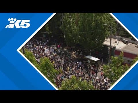 'First step in healing the country': 'No Kings' protests seen across Washington