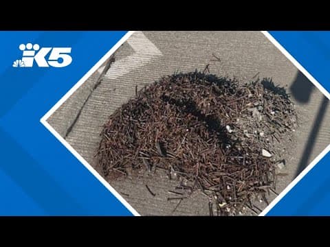 Man who threw thousands of nails onto Tacoma highway arrested