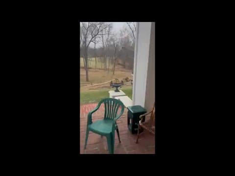Santa’s Reindeer Stopped in Aldie, VA for Dinner before heading back to the North Pole - Joyce Sowa