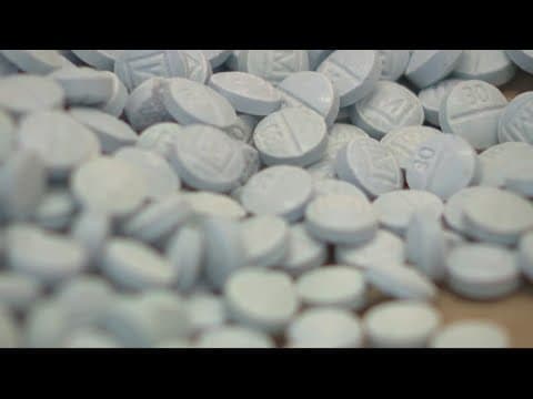 'This is a fight that we have to keep up'| DMV schools grapple with opioid crisis