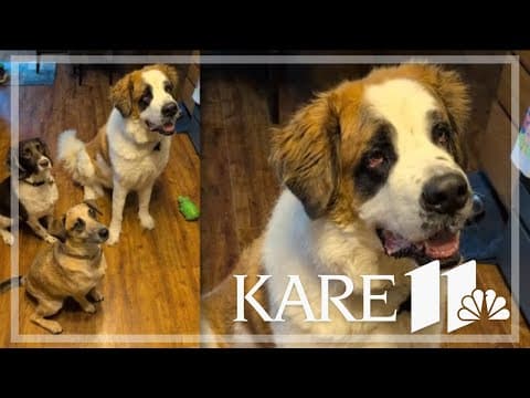 Your Good News: Terri Evans, Joan Nilsen Beyer, Carla Erickson