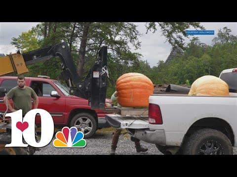Virginia family grew colossal pumpkins and brought them to Dollywood
