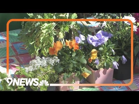 How to care for early season plants in your garden
