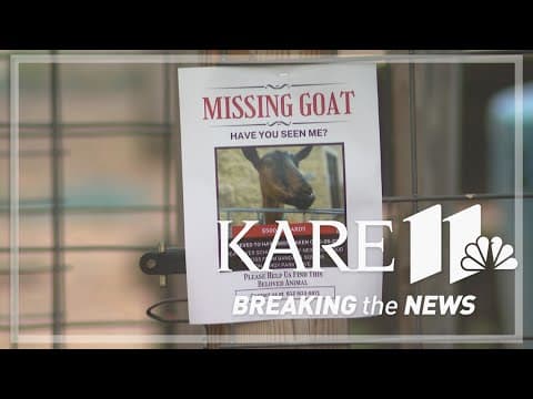 YouTube thumbnail for video RkblzVqyaeg