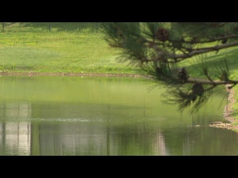 Water safety experts hope national action plan will help prevent drownings