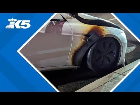 Tesla set on fire in Seattle amid a rash of vandalism