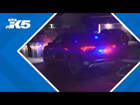 2 found dead in Spanaway home