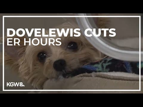 Busy Portland pet hospital forced to cut down ER hours