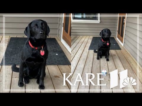 Your Good News: Jeffery Pfaff, Sarah Geislinger