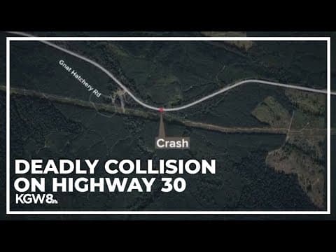 Driver killed after hitting semi-truck head-on