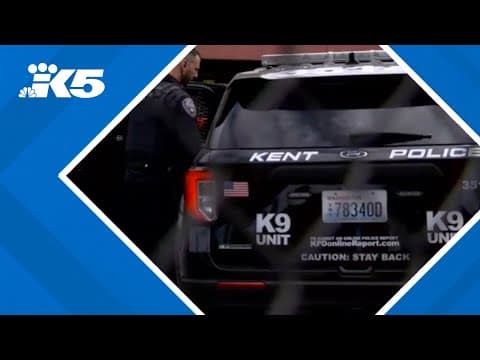 Gun violence drops 50% in South King County