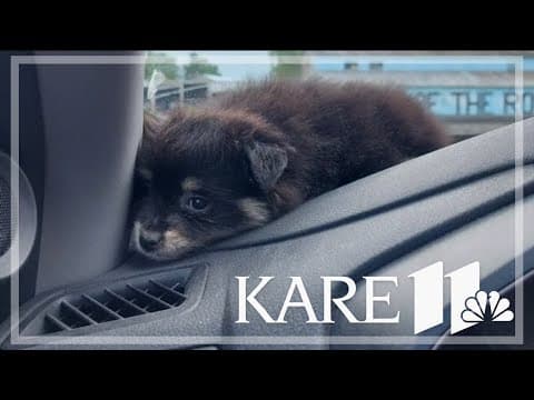 Your Good News: Jeff & Sherry Nelson, Marjorie Medley, Jill Bush