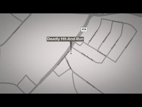 Police are investigating a deadly hit-and-run involving a pedestrian in Temple Hills