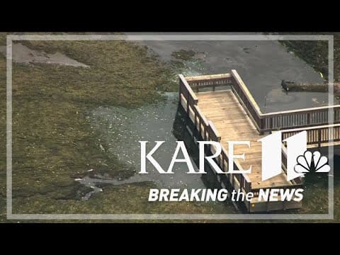 Fish rescued from Lake Alice