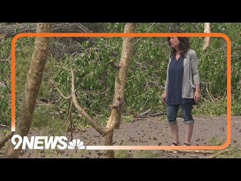 Lakewood residents protest tree removal near Belmar Park