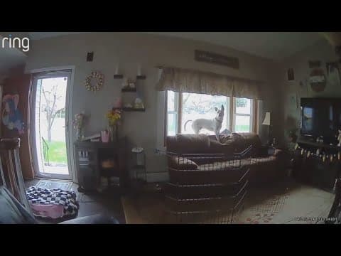 Northeast America hit by 4.8-magnitude earthquake, biggest on east coast since 2011