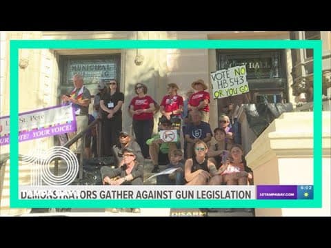 Demonstrators rally against proposed Florida gun legislation outside St. Pete City Hall
